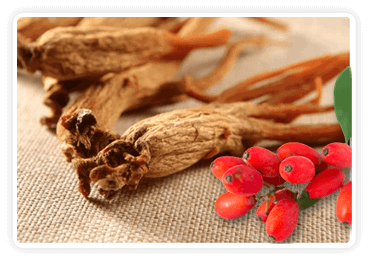 Berberine & Korean Red Ginseng